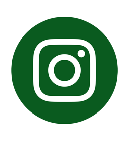 instagram-256-green
